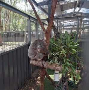 Meet your Posher, Kerry